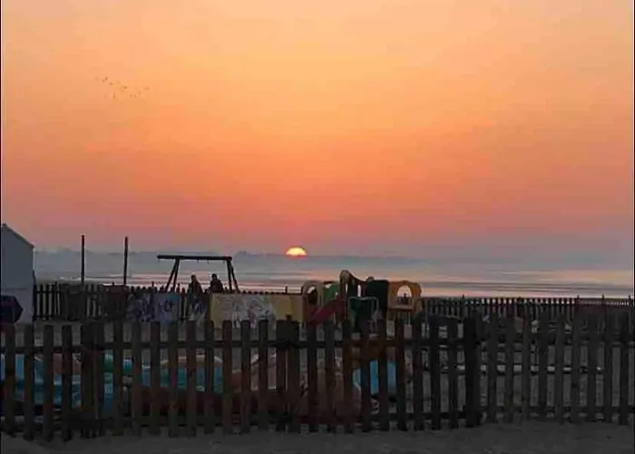 Proche Avec Jardin *